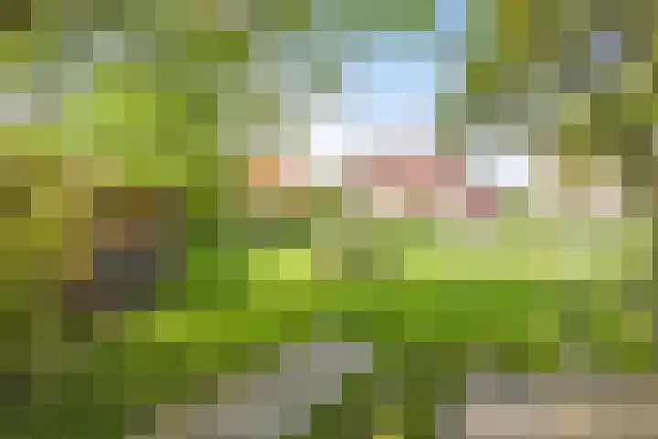 Stasjonsleane 8 Oudega thumbnail 35