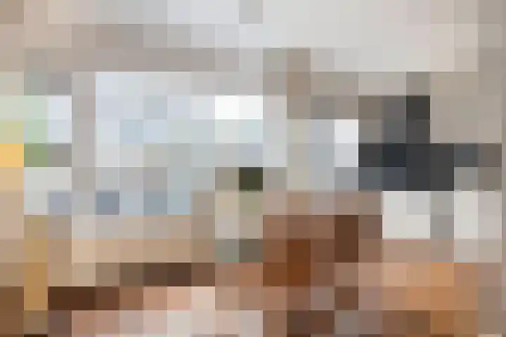 State 14 Veenendaal thumbnail 11