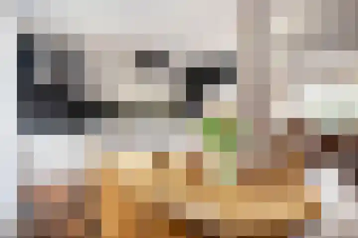 State 14 Veenendaal thumbnail 13
