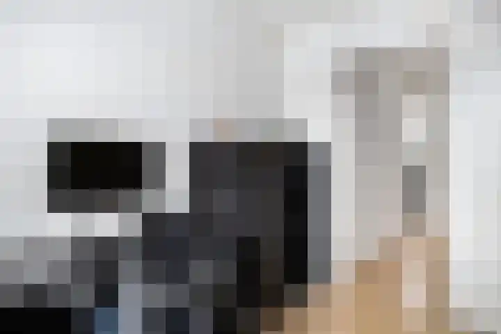 State 14 Veenendaal thumbnail 25
