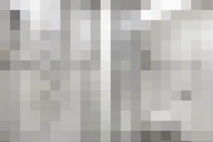 State 14 Veenendaal thumbnail 27