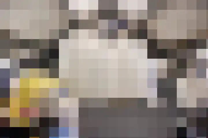State 14 Veenendaal thumbnail 30
