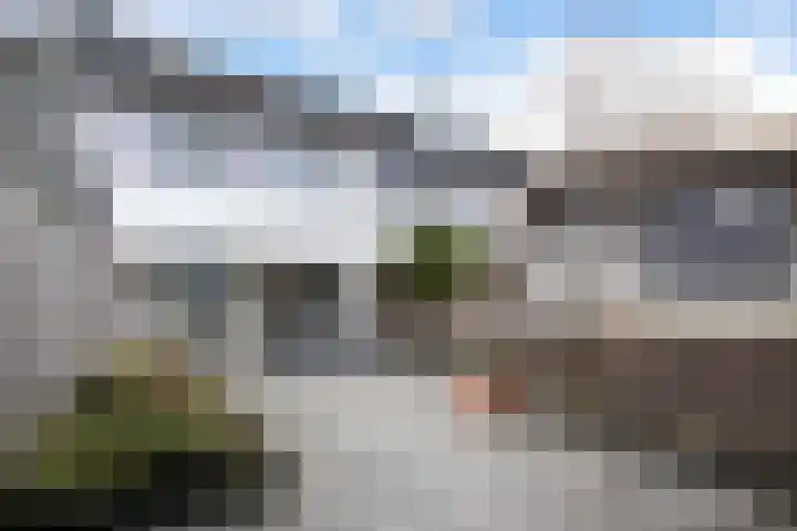 State 14 Veenendaal thumbnail 34