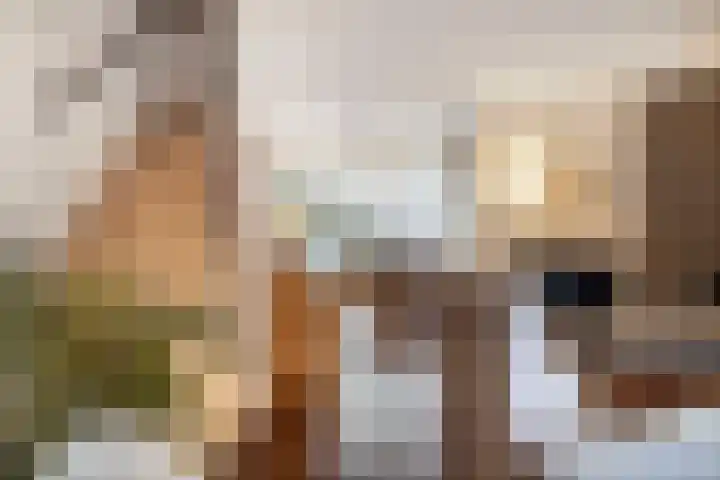 State 14 Veenendaal thumbnail 5