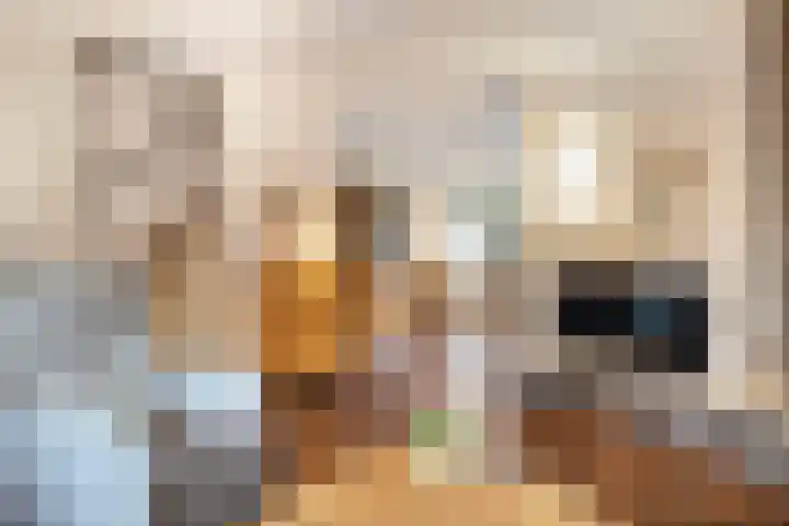 State 14 Veenendaal thumbnail 6