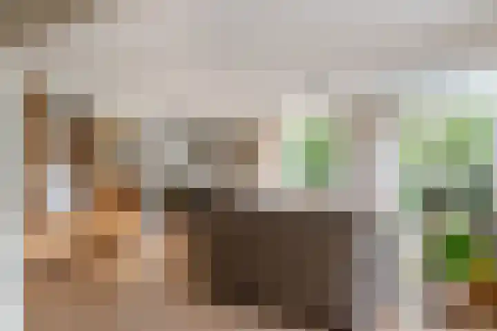 Statehof 36 Emmeloord thumbnail 17