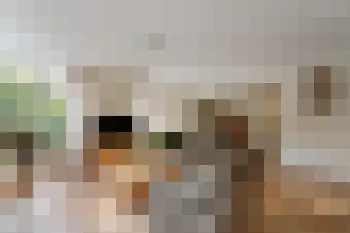 Statehof 36 Emmeloord thumbnail 18