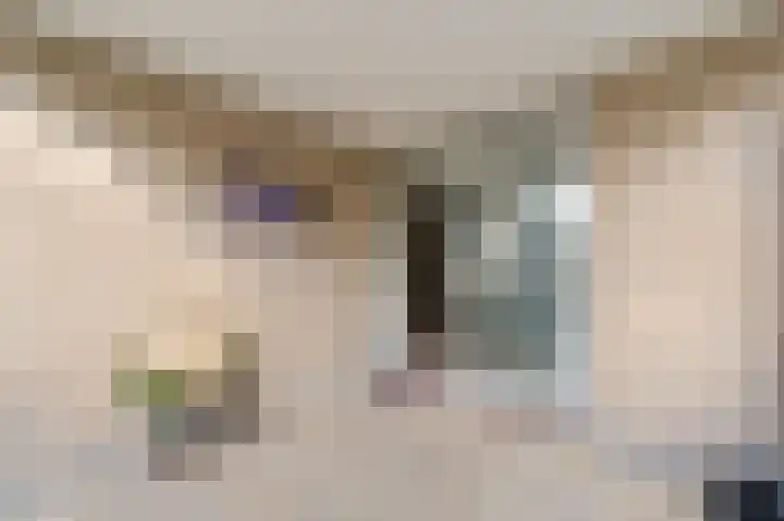 Statehof 36 Emmeloord thumbnail 28
