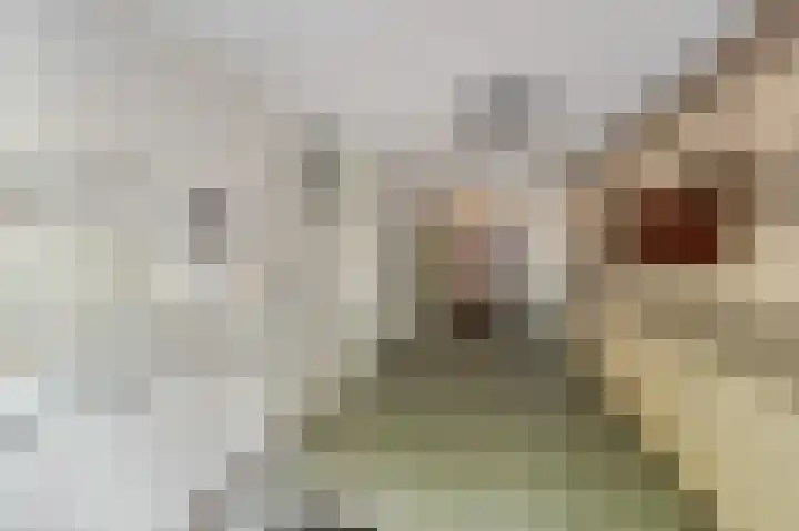 Statehof 36 Emmeloord thumbnail 9