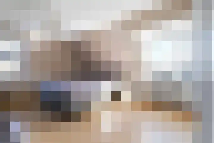Statendaalder 1 Boxtel thumbnail 37