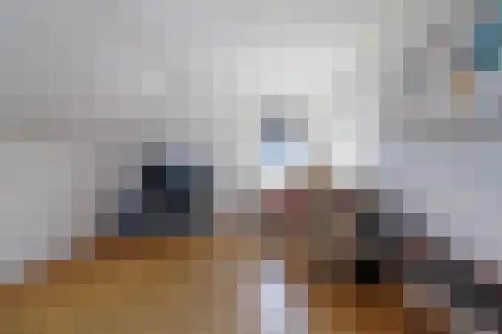 Statendaalder 1 Boxtel thumbnail 43