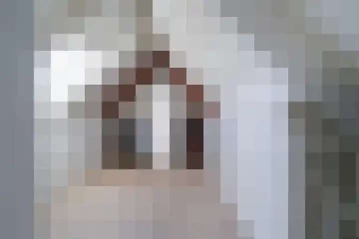 Statendaalder 1 Boxtel thumbnail 51
