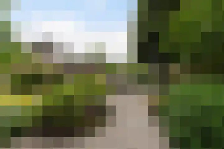 Statendaalder 1 Boxtel thumbnail 54