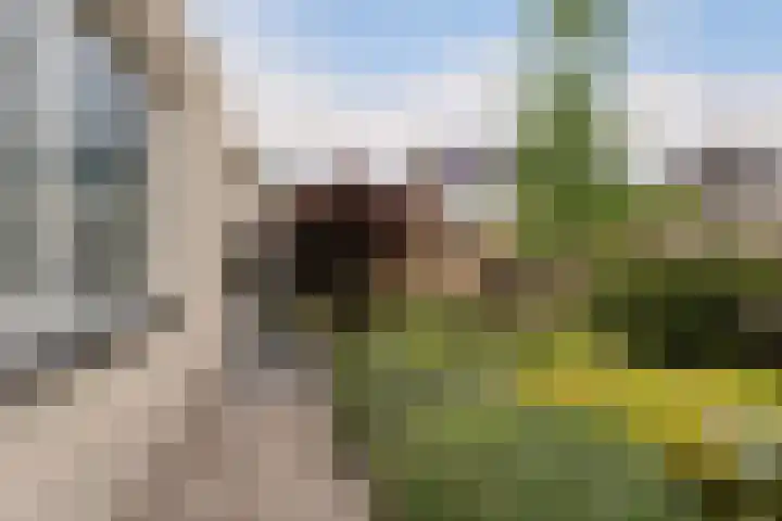 Statendaalder 1 Boxtel thumbnail 57