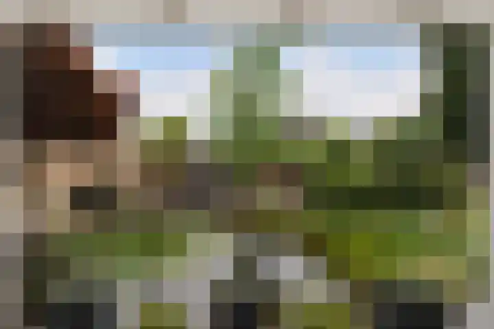 Statendaalder 1 Boxtel thumbnail 59