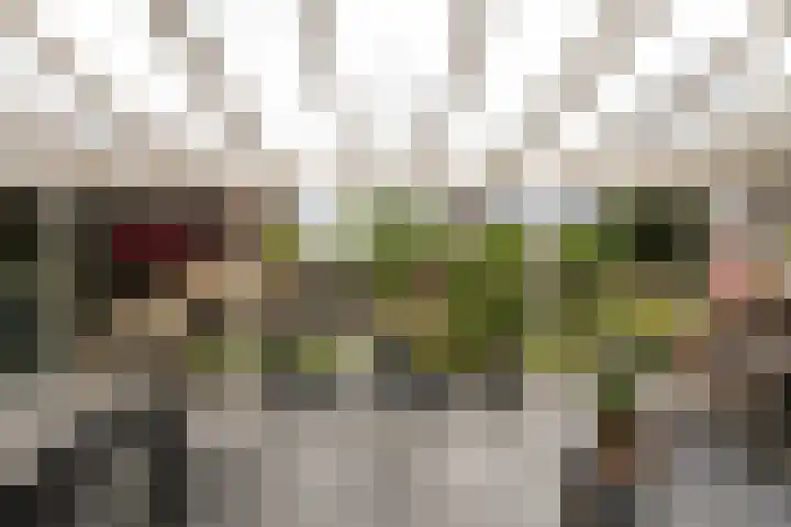Statendaalder 1 Boxtel thumbnail 61