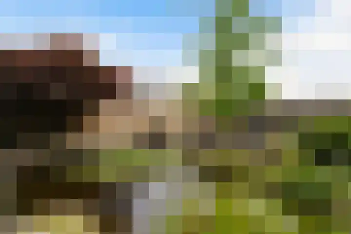 Statendaalder 1 Boxtel thumbnail 65