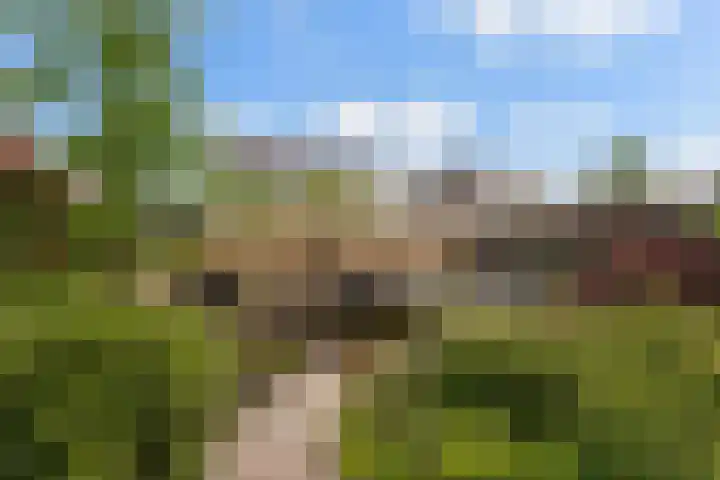 Statendaalder 1 Boxtel thumbnail 66