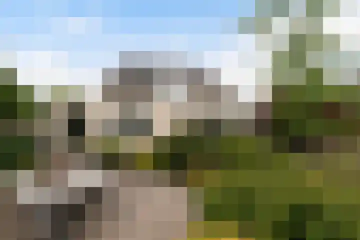 Statendaalder 1 Boxtel thumbnail 69