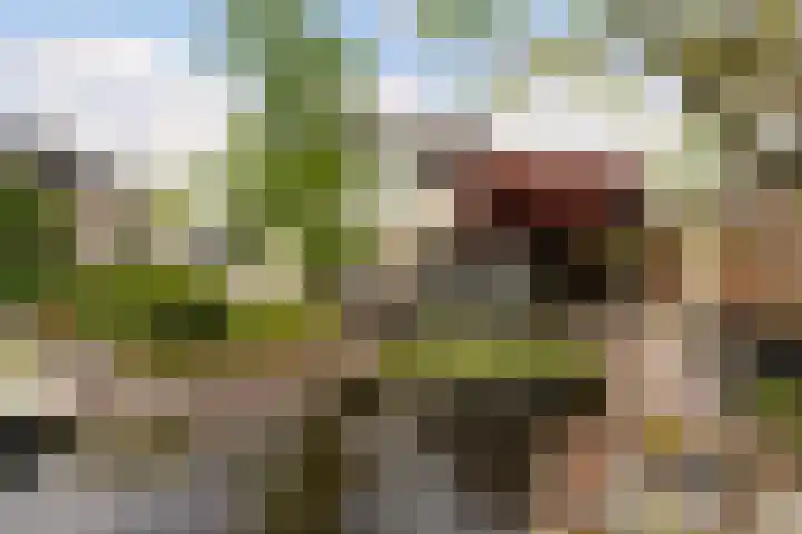 Statendaalder 1 Boxtel thumbnail 71