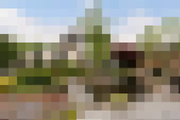 Statendaalder 1 Boxtel thumbnail 72