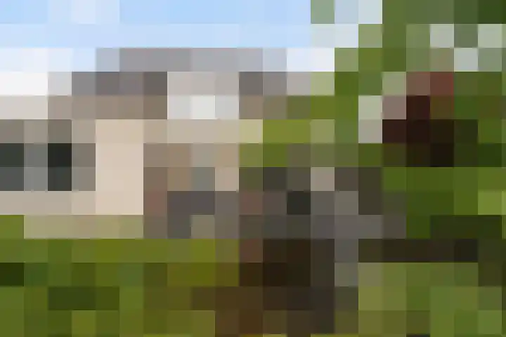 Statendaalder 1 Boxtel thumbnail 73