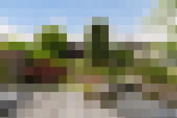 Statendaalder 1 Boxtel thumbnail 77