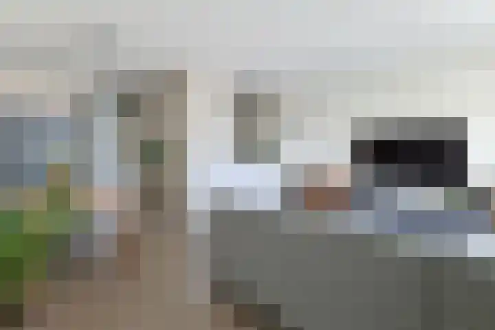 Statendaalder 4 Leiderdorp thumbnail 11