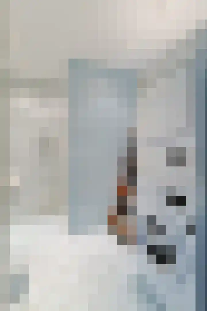 Statendaalder 4 Leiderdorp thumbnail 19