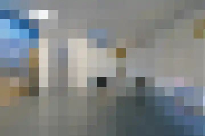 Statendaalder 4 Leiderdorp thumbnail 8