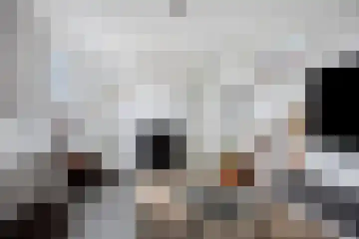 Statendaalder 4 Utrecht thumbnail 13