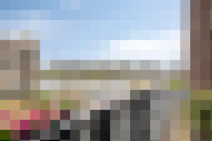 Statendaalder 4 Utrecht thumbnail 15