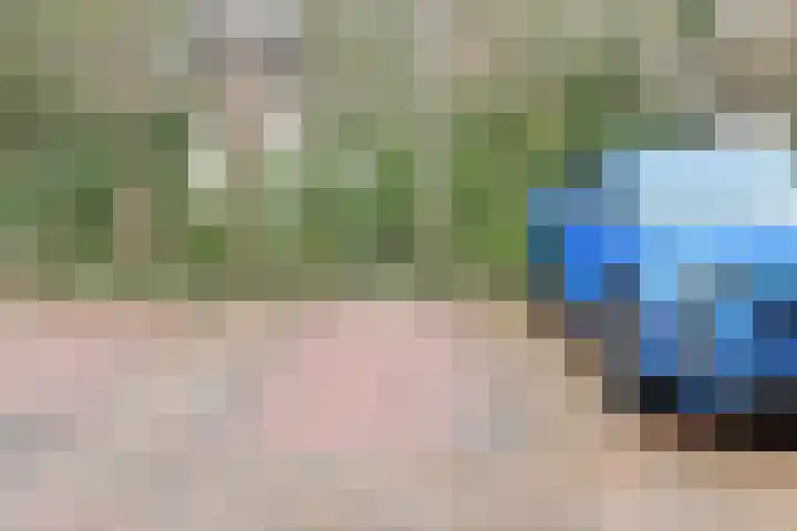 Statendaalder 4 Utrecht thumbnail 26