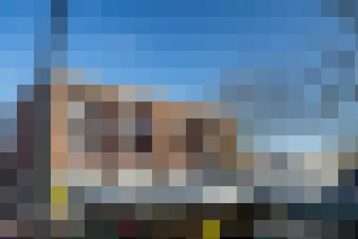 Statendaalder 46 Leiderdorp thumbnail 33