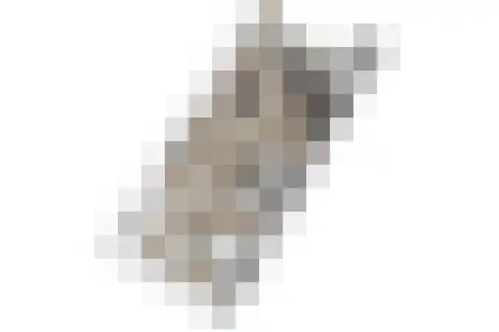 Statendaalder 46 Leiderdorp thumbnail 42