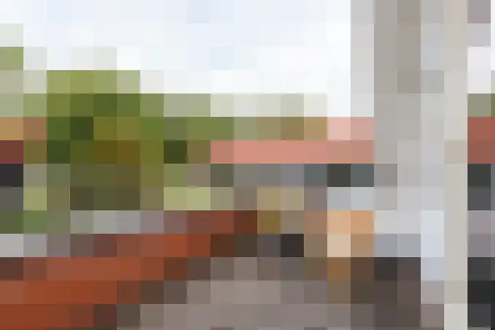 Statenhof 16 Harmelen thumbnail 16