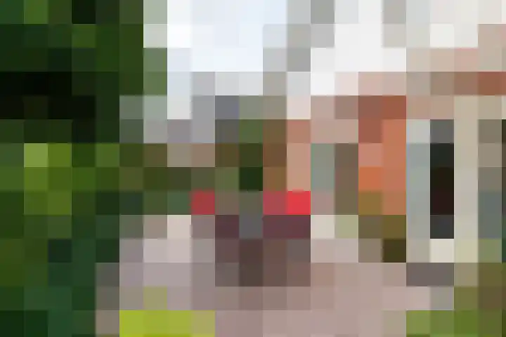 Statenhof 16 Harmelen thumbnail 25