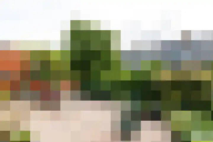 Statenhof 16 Harmelen thumbnail 26