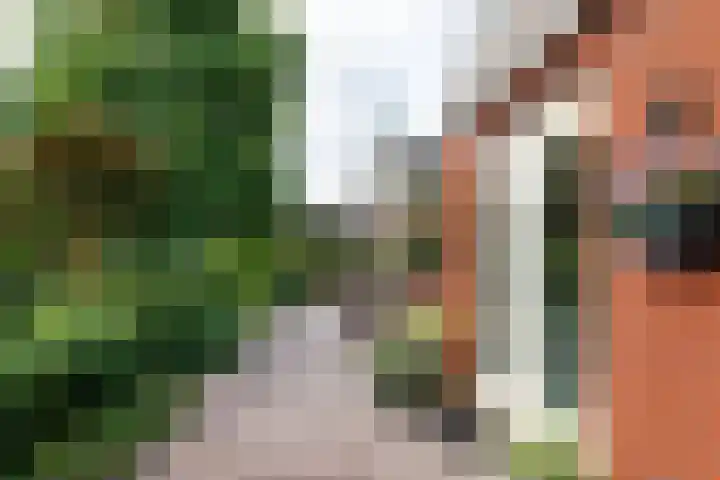 Statenhof 16 Harmelen thumbnail 27