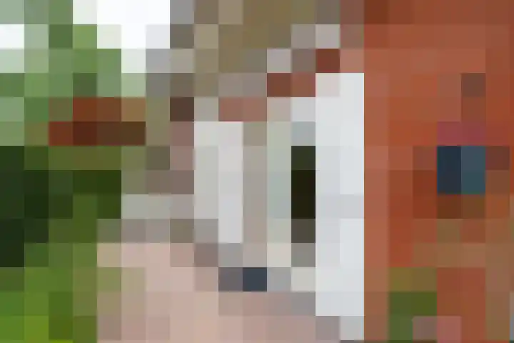 Statenhof 16 Harmelen thumbnail 28