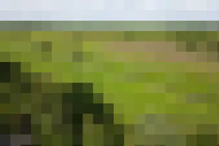 Statenhof 16 Harmelen thumbnail 30