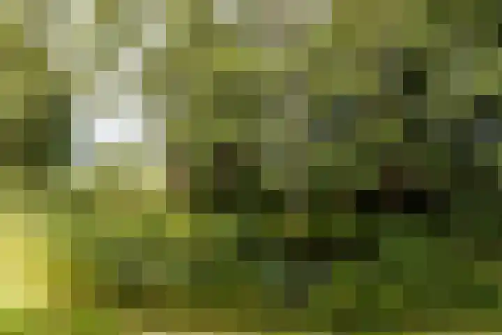 Statenhof 16 Harmelen thumbnail 31