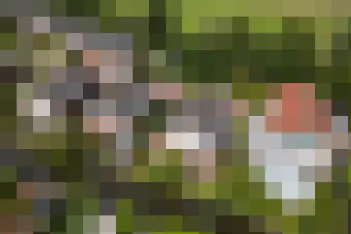 Statenhof 16 Harmelen thumbnail 4