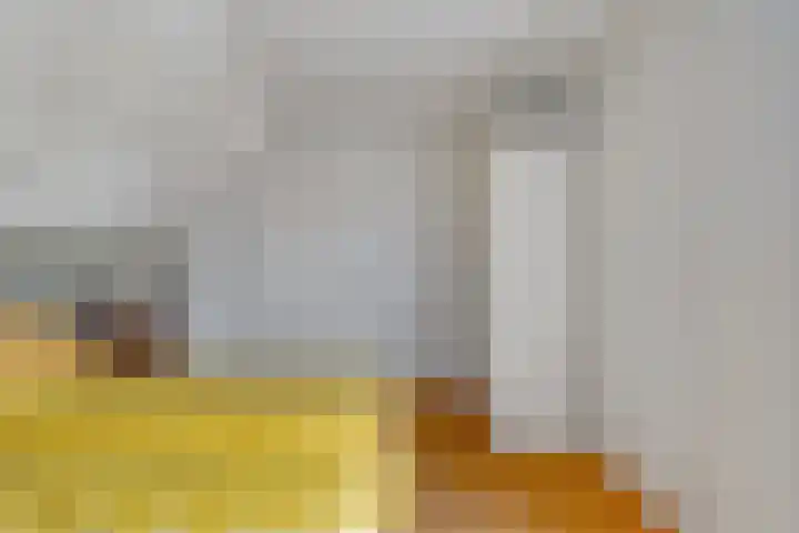 Statenhof 26 Goes thumbnail 24