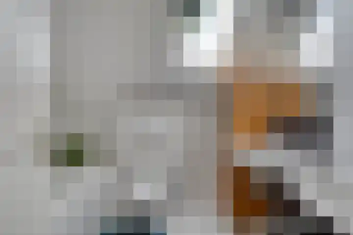 Statenhof 26 Goes thumbnail 25