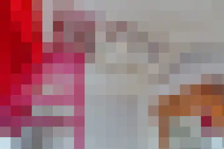 Statenhof 26 Goes thumbnail 29