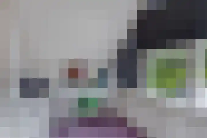 Statenhof 26 Goes thumbnail 31