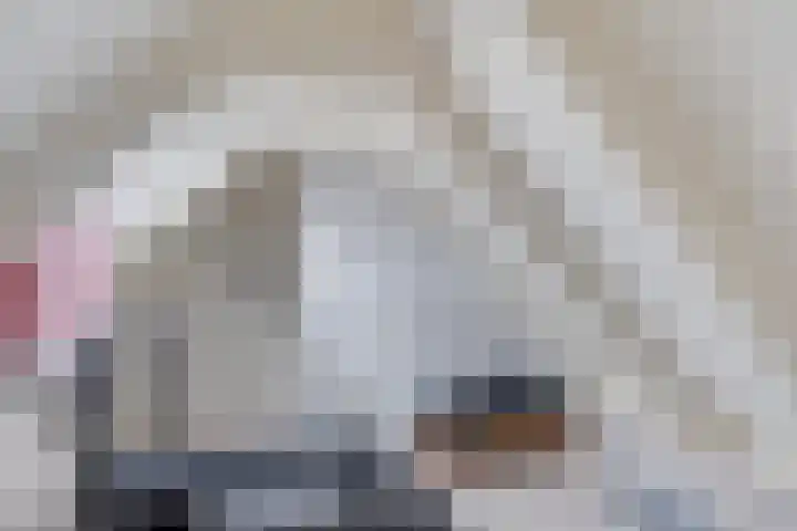 Statenhof 26 Goes thumbnail 32