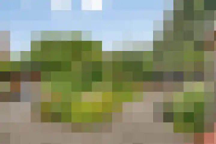 Statenhof 26 Goes thumbnail 37