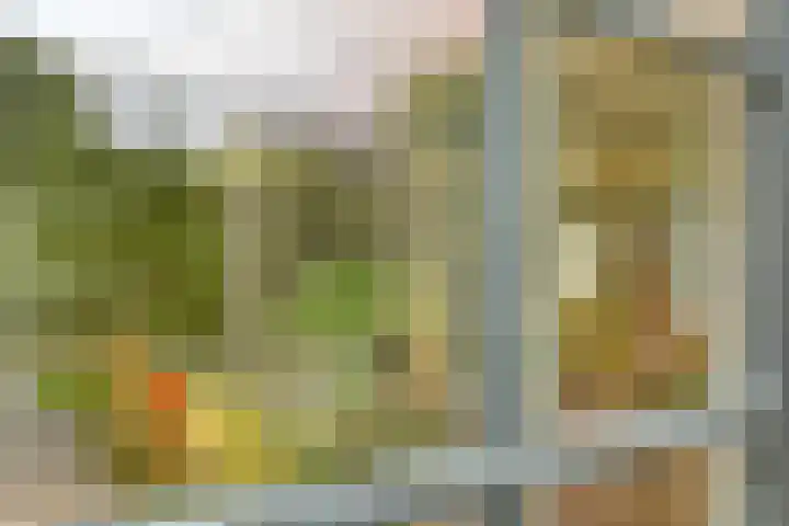 Statenhof 26 Goes thumbnail 40
